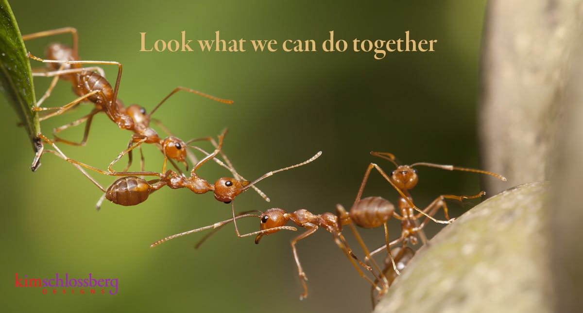 Look what we can do together by Kim Schlossberg Designs