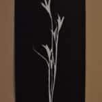 Frankford Preservation Foundation Big Bluestem prints